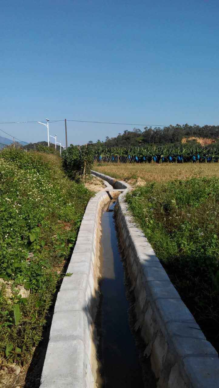 增城市派潭鎮舊高埔村